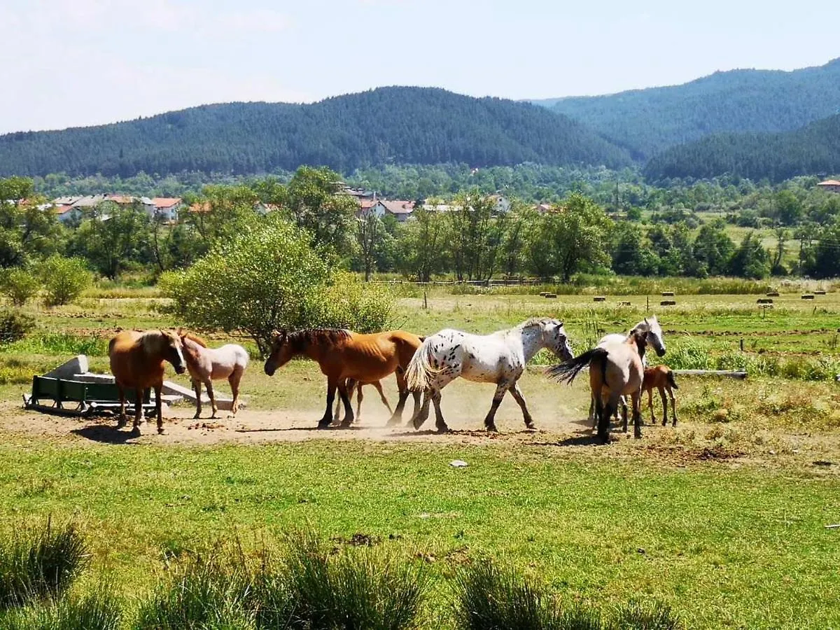 Манастира Bansko